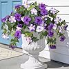 Ammyoo Artificial Fake Flowers Plants for Outdoor Decoration, 2PCS Faux Petunias Silk Flower UV Resistant No Fade for Home Outside Garden Balcony Yard Porch Realistic Indoor Decor (Purple White)