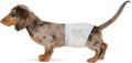 Amazon Basics Absorbent, Leakproof Male Dog Wrap Disposable Diapers with Wetness Indicator, Breathable, Small, White, 50-Pack