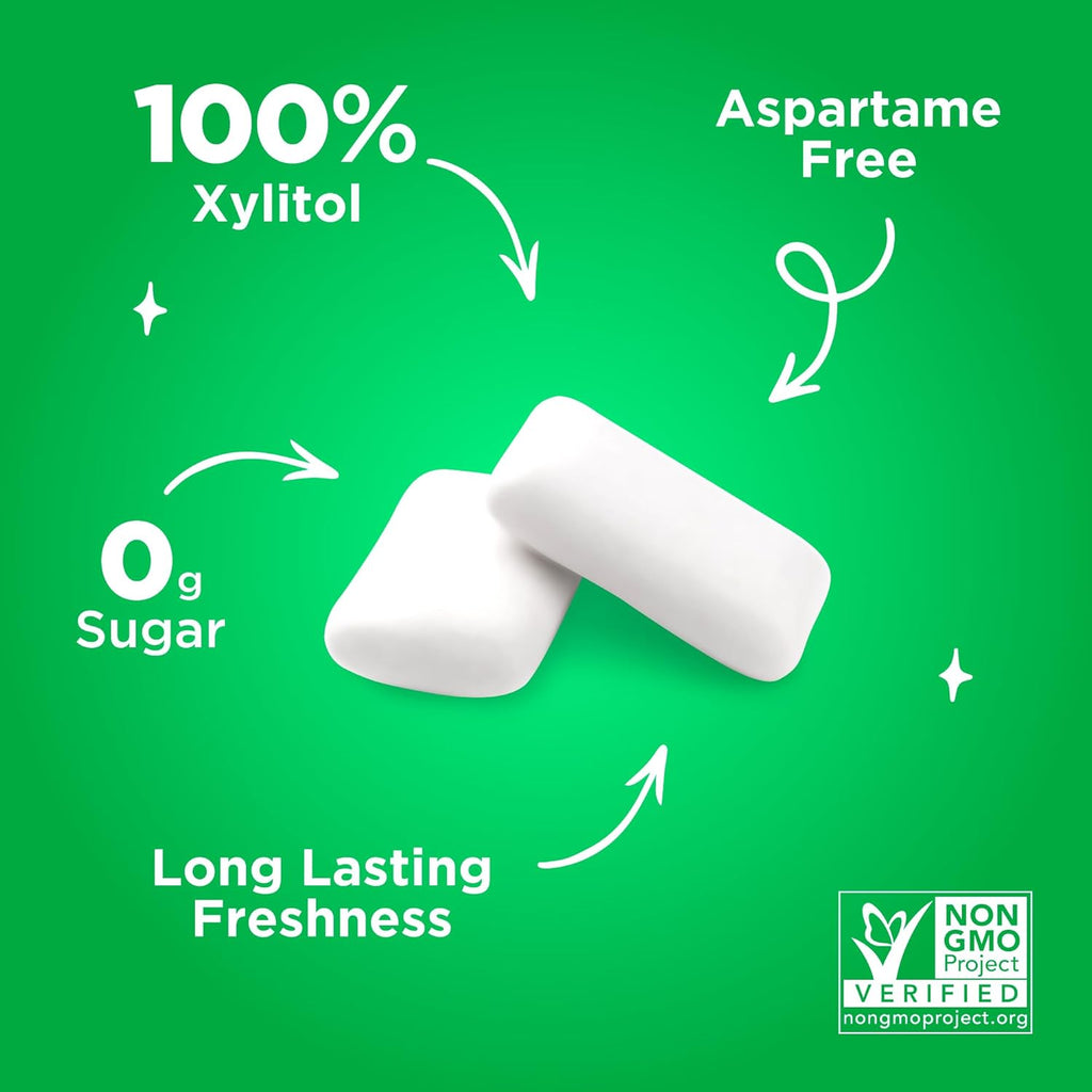 PUR Gum | Aspartame Free Chewing Gum | 100% Xylitol | Natural Spearmint Flavored Gum, 55 Pieces (Pack of 1)