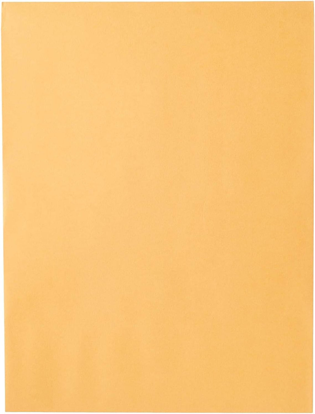 Mead Envelopes, 9" x 12", Clasp Closure, Brown Kraft All-Purpose 24-lb Paper Mailing Envelopes, 20 Count (76020)