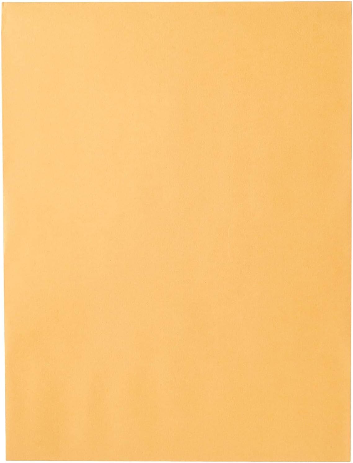 Mead Envelopes, 9" x 12", Clasp Closure, Brown Kraft All-Purpose 24-lb Paper Mailing Envelopes, 20 Count (76020)