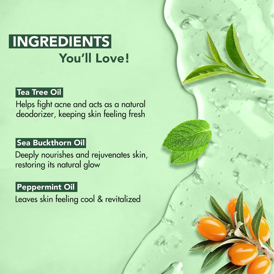Botanic Hearth Tea Tree Body Wash 16 fl oz (2 Pack) Natural Antifungal & Odor Control Shower Gel for Acne, Athlete’s Foot, Ringworm, Jock Itch, Healthy Skin, Sulfate & Paraben Free, for Men & Women
