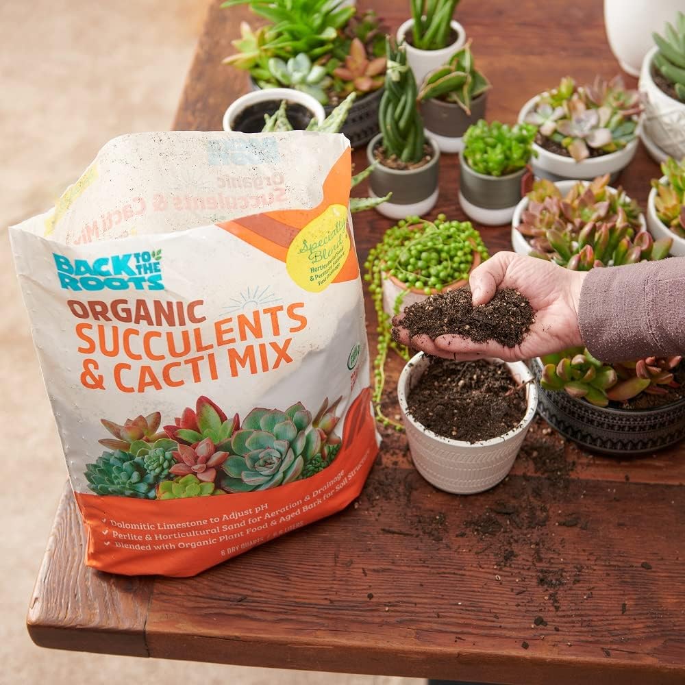 Back to the Roots 100% Organic Succulent & Cacti Mix (6 Quart) | Made in the USA | Premium Nutrition for Indoor and Outdoor Plants