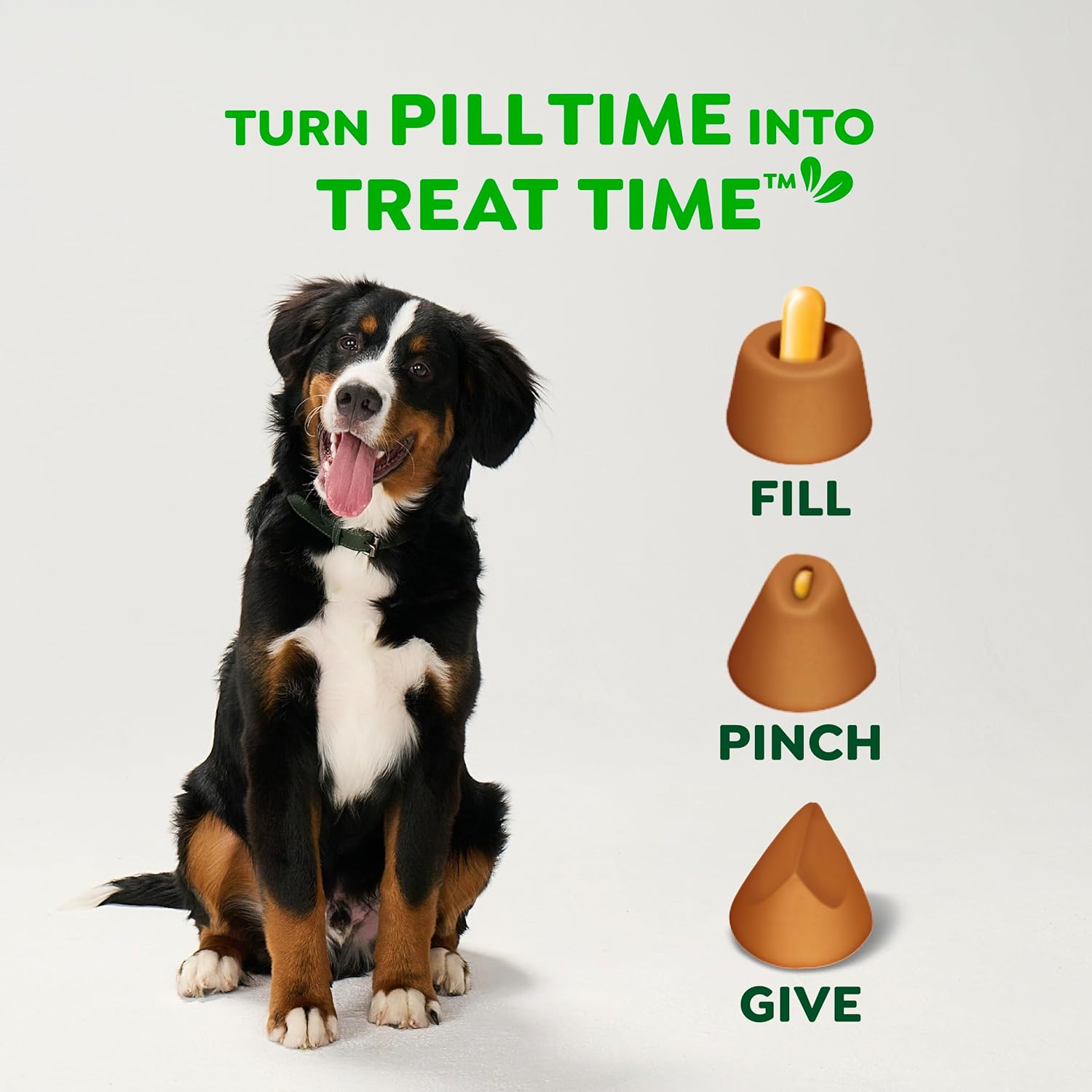 Greenies Pill Pockets for Dogs Large Size, Dog Treat Pouch for Capsule Medication, Peanut Butter Flavor, 15.8 oz. Pouch