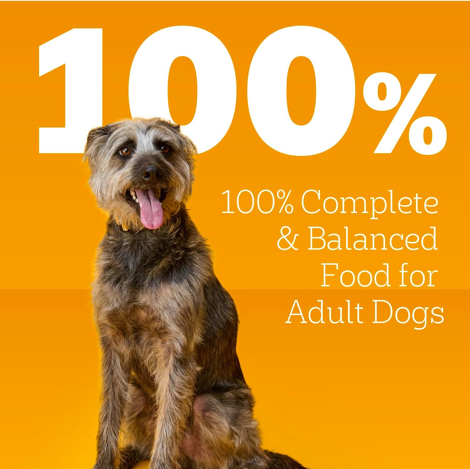 Pedigree Wet Dog Food, Choice Cuts Adult Canned Dog Food with Beef, 13.2 oz. Cans, 12 Count