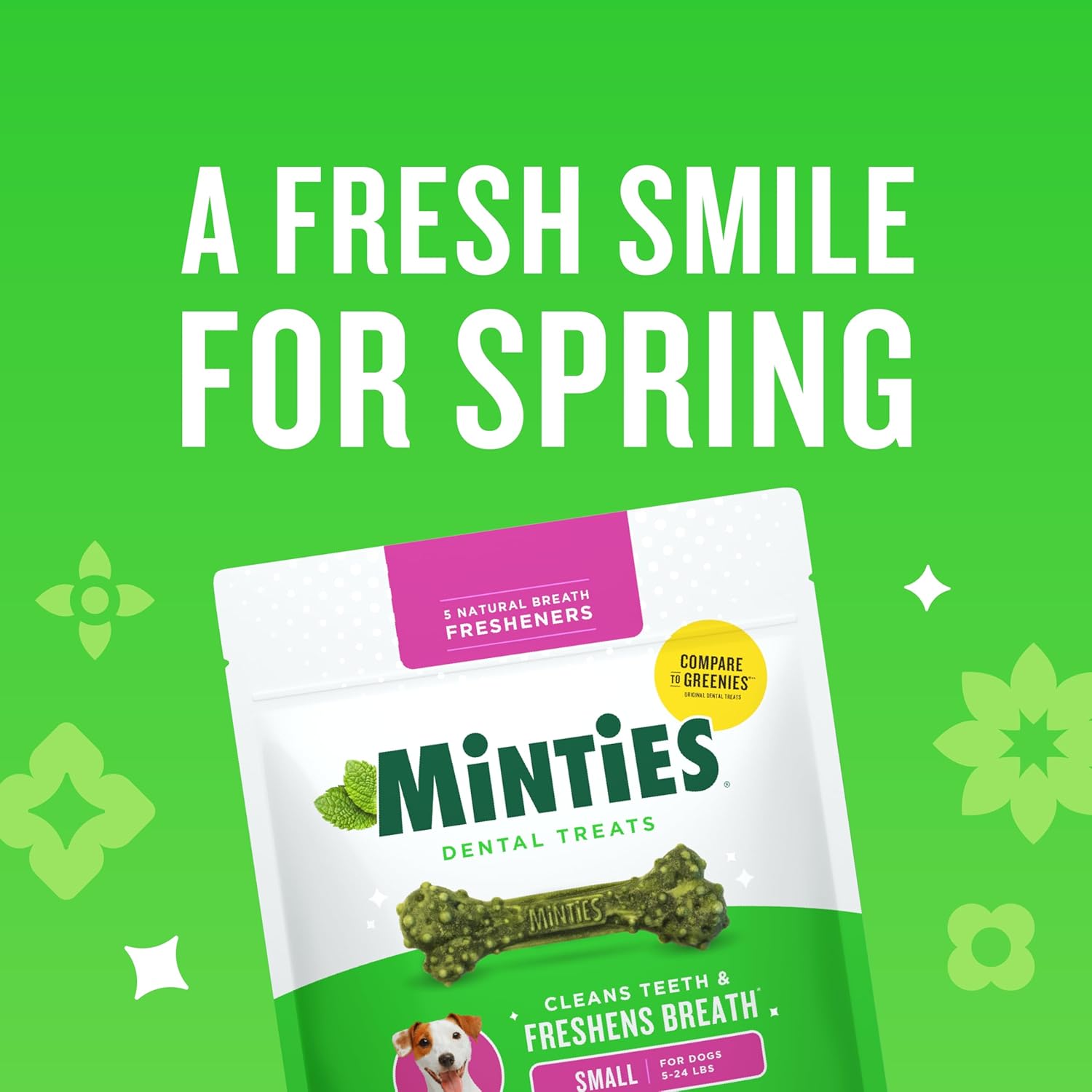 Minties Dog Dental Bone Treats, Tiny/Small Dental Dog Treats, 16 Ounces, Cleans Teeth, Fight Bad Breath, Removes Plaque and Tartar, 40 Count