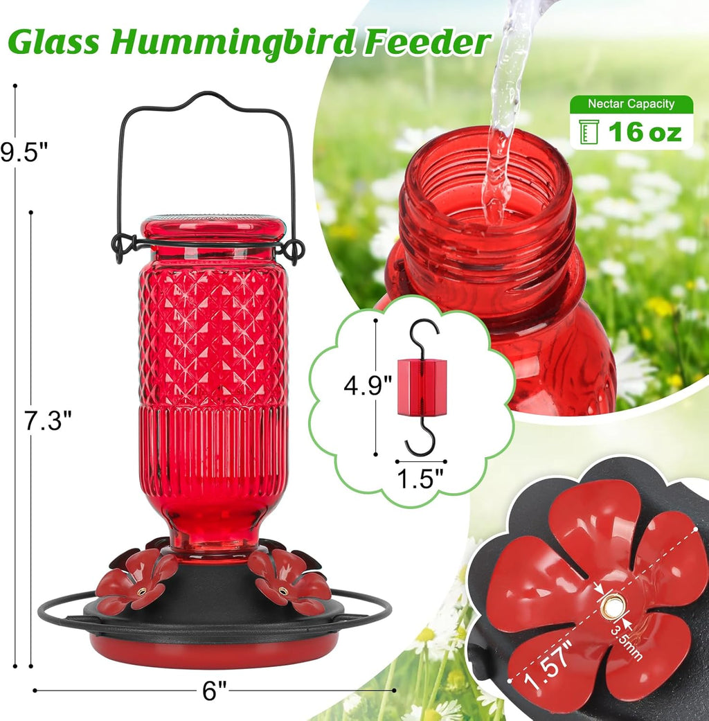 FEED GARDEN Glass Hummingbird Feeder, 16oz Outdoor Hanging Bird Feeder with Ant Moat, 4 Bee-Proof Feeding Ports, 360° Perch, Leak-Proof, Red