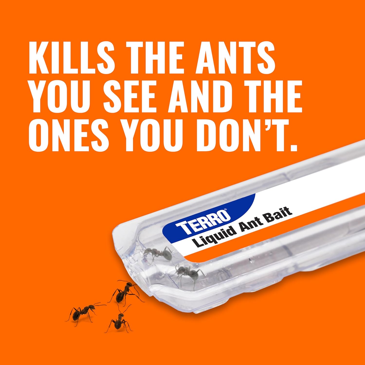TERRO Ant Killer Bait Stations T300B - Liquid Bait to Eliminate Ants - Bait System - 12 Count Stations for Effective Indoor Ant Control
