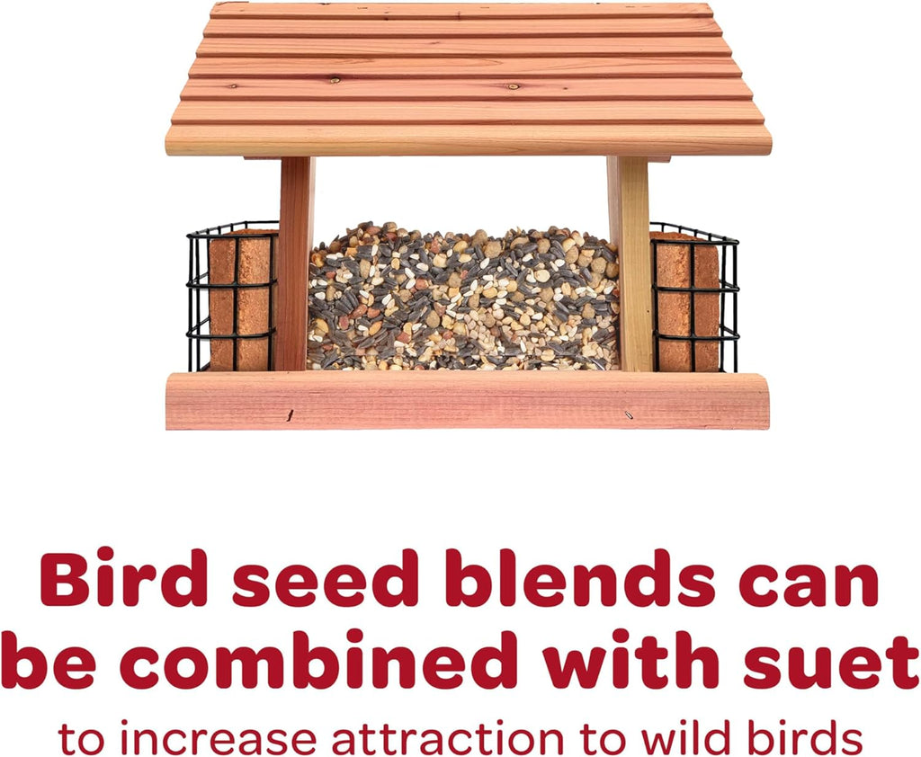 Kaytee All American Wild Bird Food Seed Blend for Cardinals, Blue Jays, Finches & Other Outdoor Wild Birds, 5 Pounds