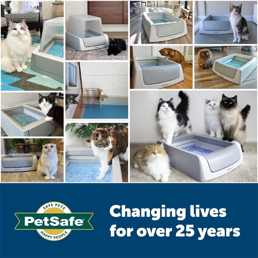 PetSafe ScoopFree Premium Crystal Cat Litter - Outperforms Clay Litter - Refill Packs - Reusable Tray Compatible - Fresh Scent - 4.3 lb Bags - 2 Pack