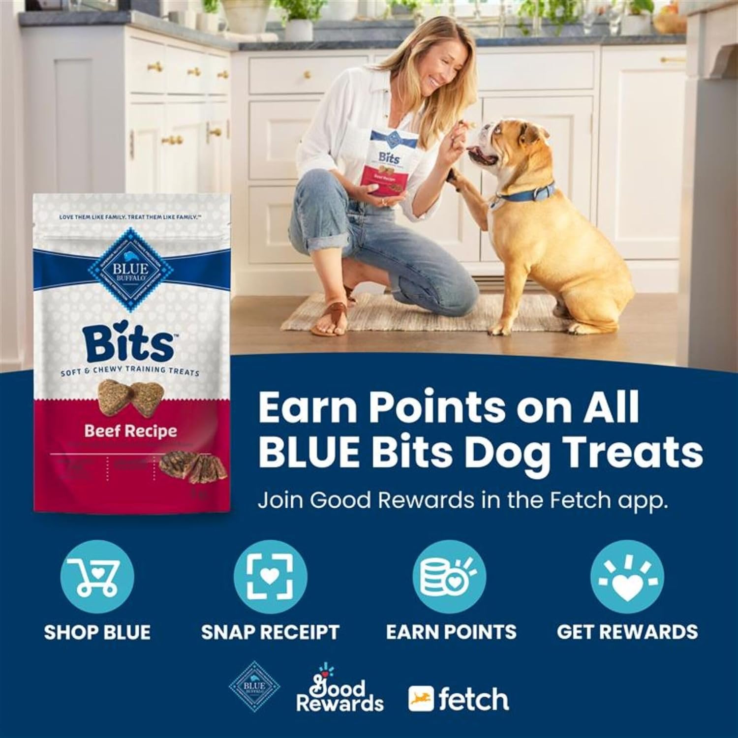 Blue Buffalo Bits Soft Dog Treats for Training, Made with Natural Ingredients & Enhanced with DHA, Chicken Recipe, 19-oz Bag