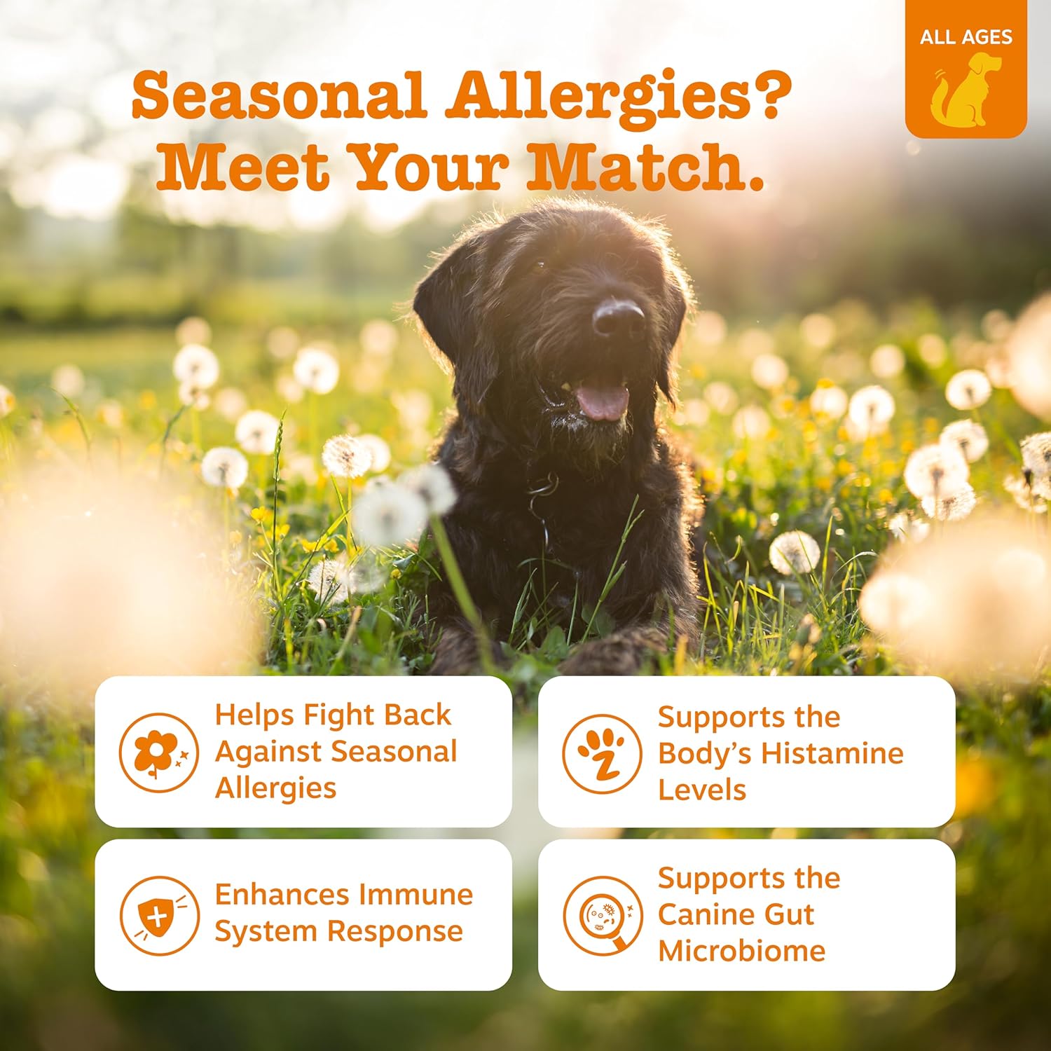 Zesty Paws Allergy Immune Bites - Dog Allergy Chews, Dog Probiotics for Itchy Skin and Ears, Lamb, 90ct