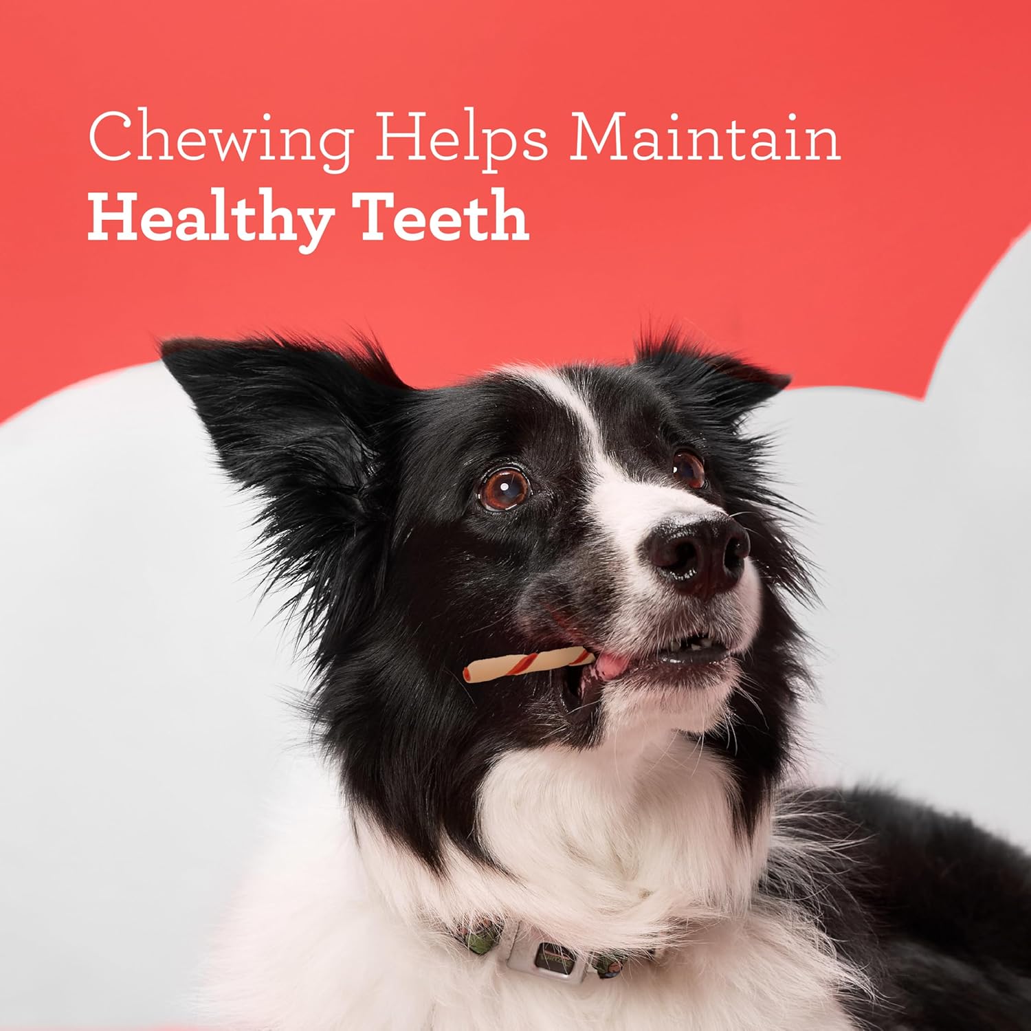 DreamBone Twist Sticks Chews for Dogs, 50 Count, Treat Your Dog to Easy-to-Digest Rawhide-Free Chews Made with Real Vegetables and Chicken