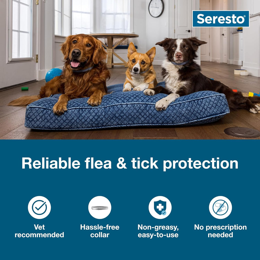 Seresto Flea & Tick Collar For Dogs Over 18 lbs., Treatment & Prevention, Vet-Recommend, 8 Month Protection