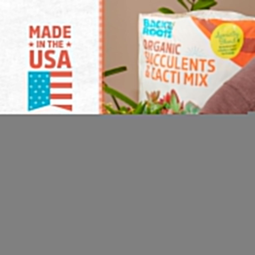 Back to the Roots 100% Organic Succulent & Cacti Mix (6 Quart) | Made in the USA | Premium Nutrition for Indoor and Outdoor Plants