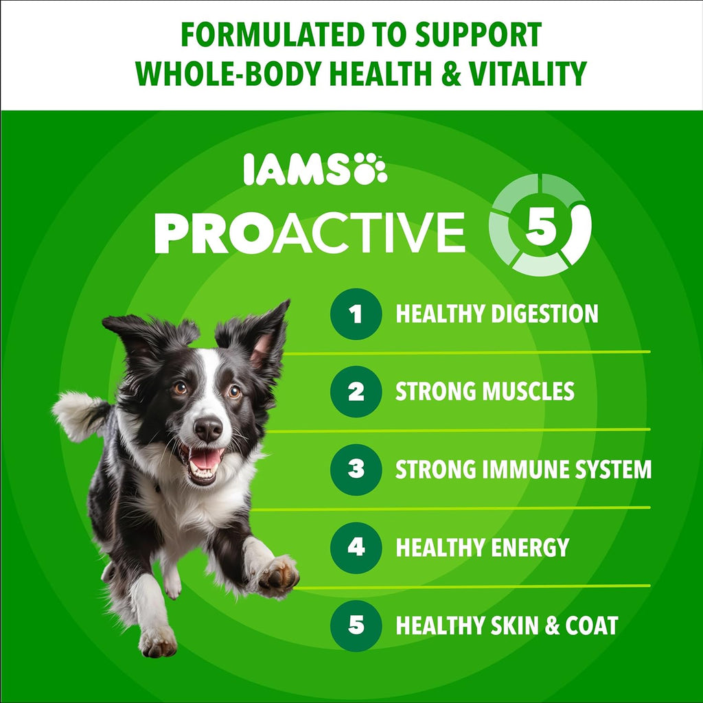 IAMS Proactive Health Adult Minichunks Premium Dry Dog Food, Adult Dog Food Dry Recipe, 30 lb. Bag