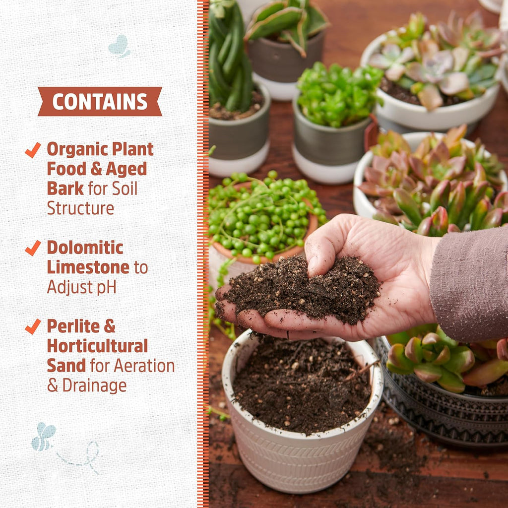 Back to the Roots 100% Organic Succulent & Cacti Mix (6 Quart) | Made in the USA | Premium Nutrition for Indoor and Outdoor Plants