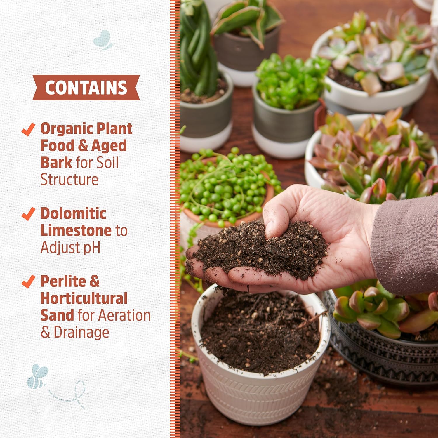 Back to the Roots 100% Organic Succulent & Cacti Mix (6 Quart) | Made in the USA | Premium Nutrition for Indoor and Outdoor Plants