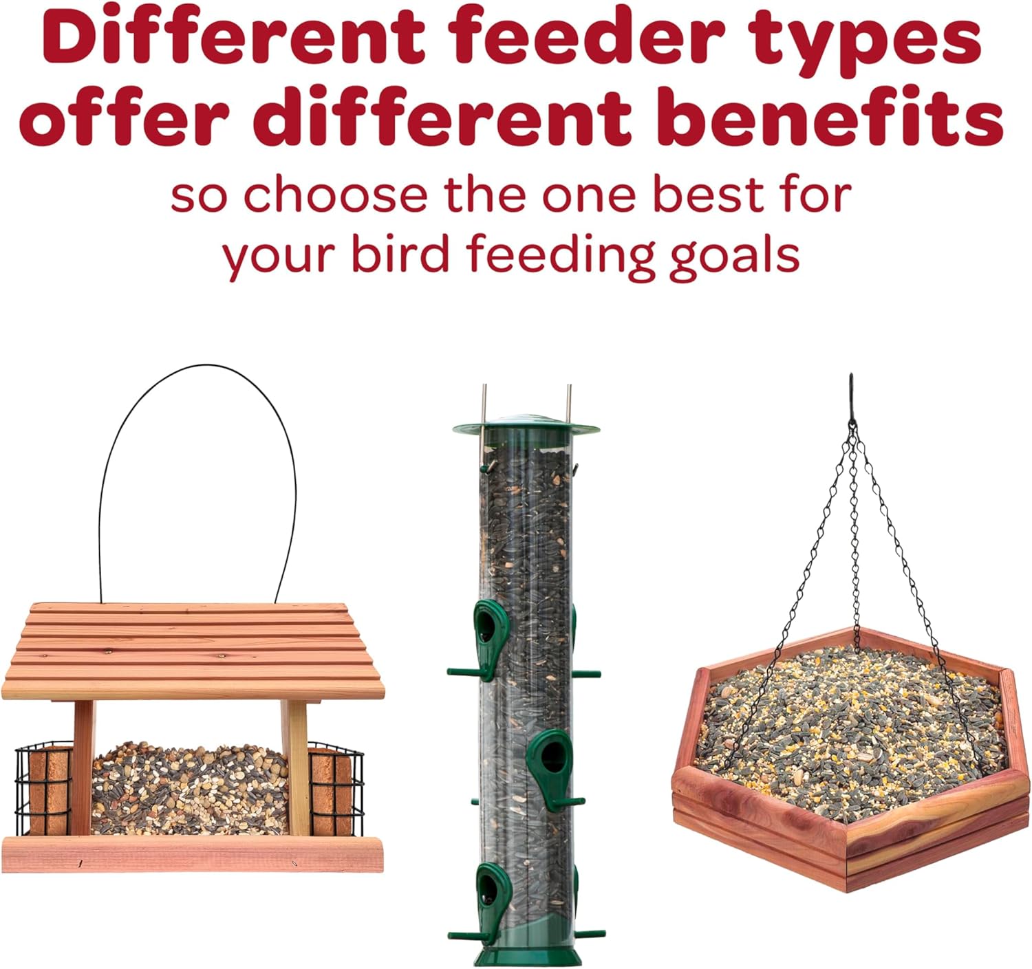 Kaytee All American Wild Bird Food Seed Blend for Cardinals, Blue Jays, Finches & Other Outdoor Wild Birds, 5 Pounds