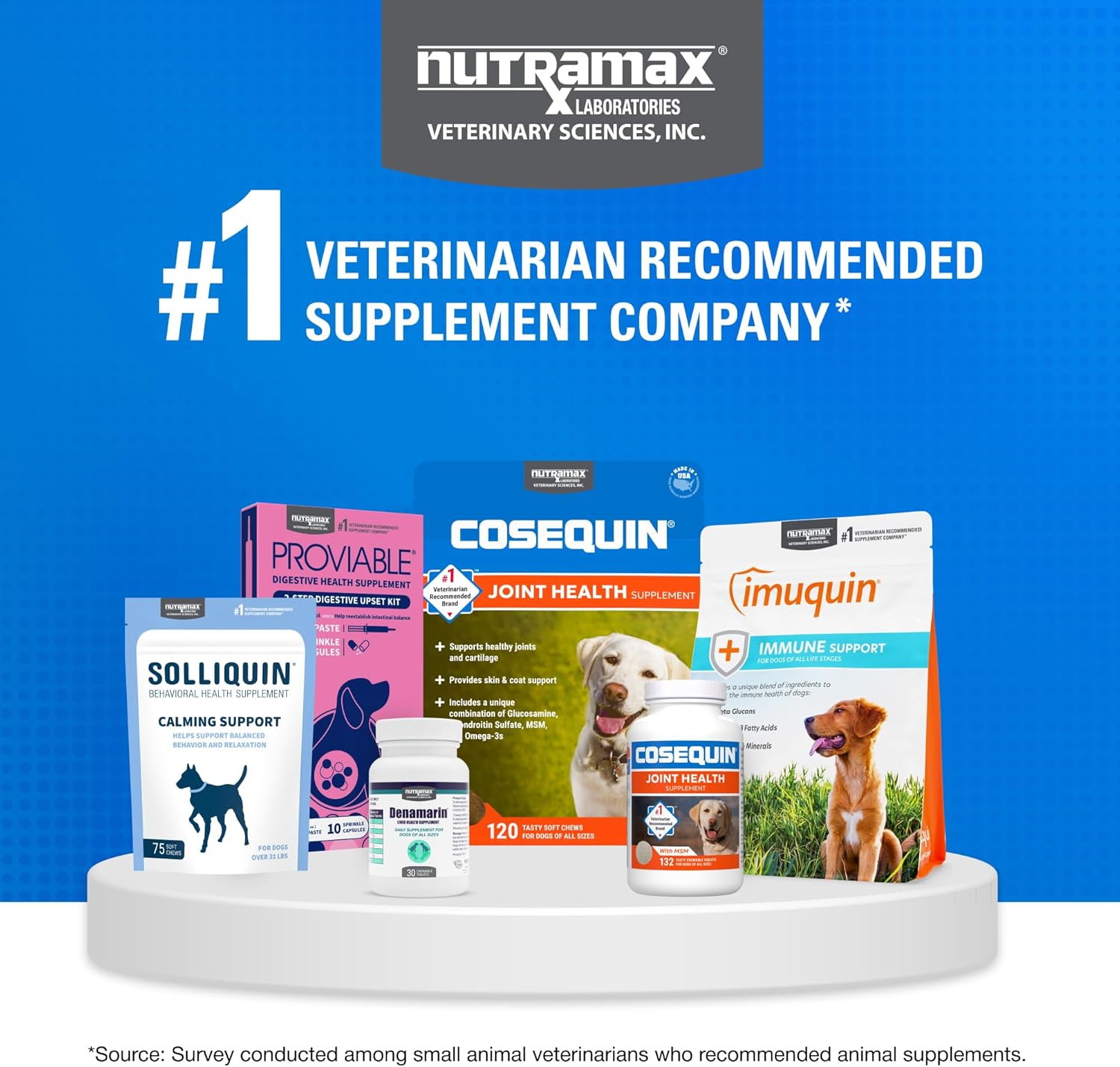 Nutramax Cosequin for Dogs Joint Health Supplement, Contains Glucosamine for Dogs, Plus Chondroitin and MSM, Supports Healthy Joints, For All Breeds and Sizes, Chewable Tablets, 132 Count