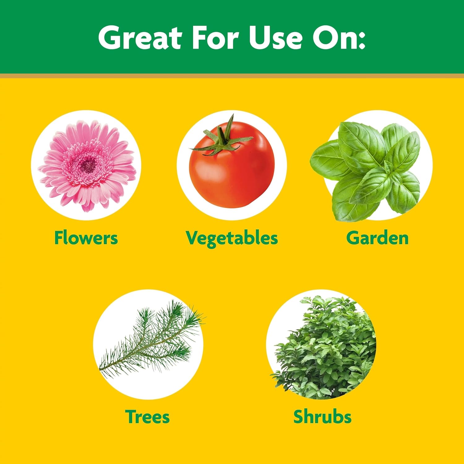 Miracle-Gro Garden Feeder with Water Soluble All Purpose Plant Food - Plant Fertilizer, Hose-end Feeder for Outdoors, 1 lb.