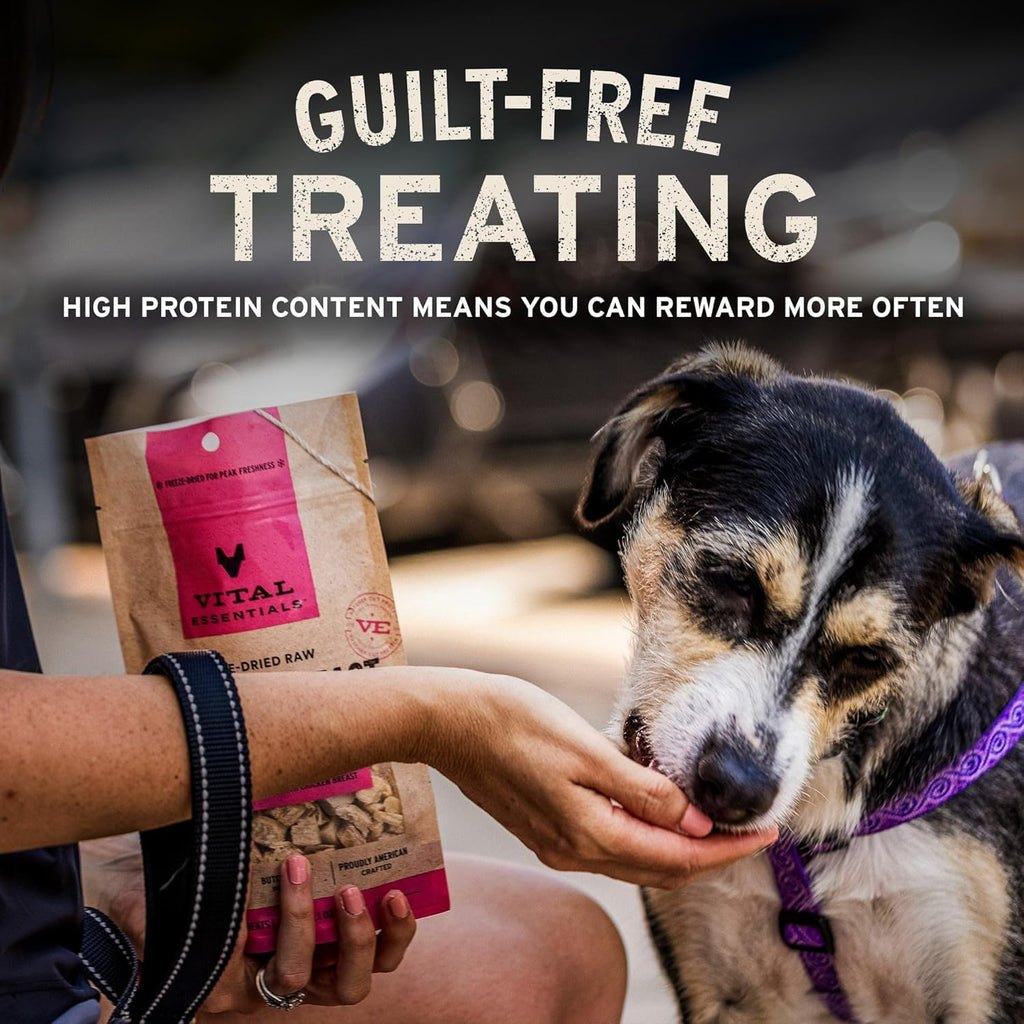 Vital Essentials Freeze Dried Dog Treats | Beef Liver, Single Ingredient | Premium Quality | Grain Free Training Treats for Dogs, 2.1 oz Bag