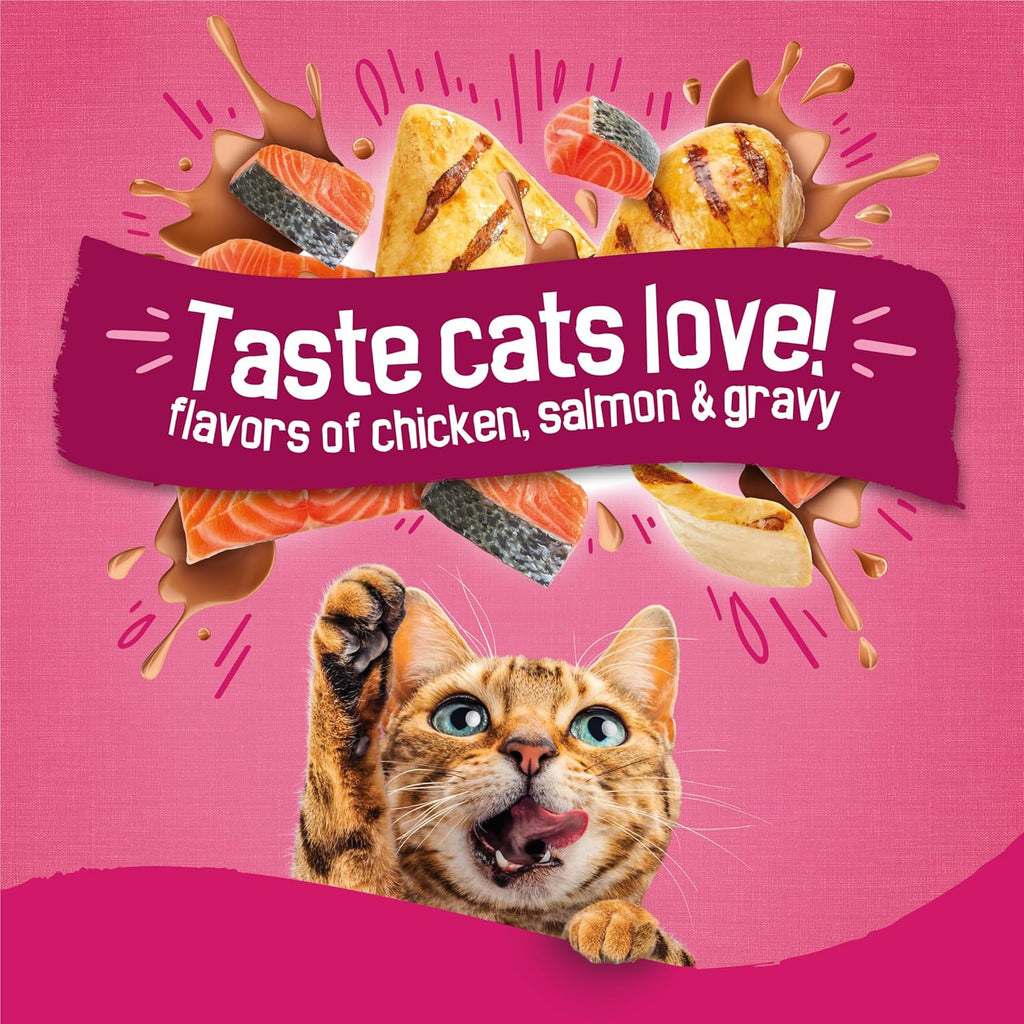 Purina Friskies Gravy Swirlers With Flavors of Chicken, Salmon and Gravy Dry Cat Food - 3.15 lb. Bag
