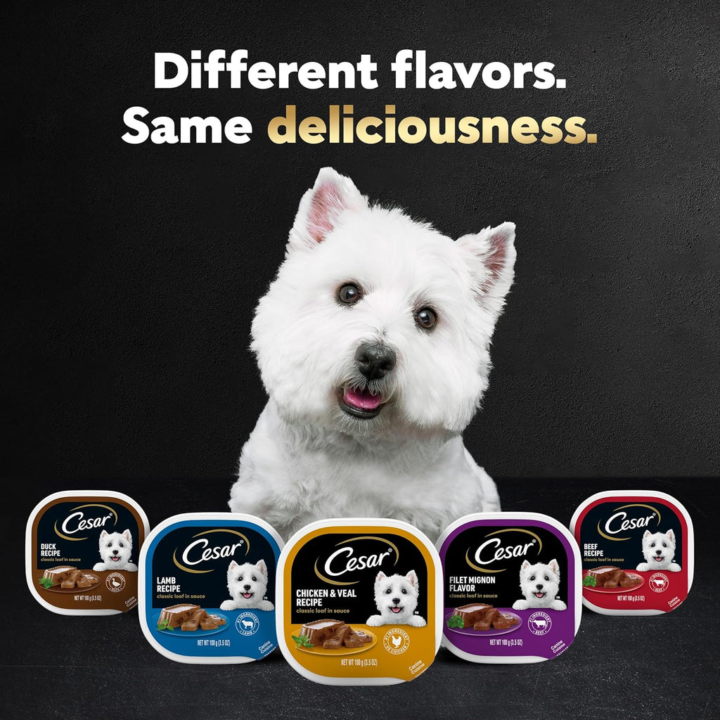 Cesar Wet Dog Food Classic Loaf in Sauce Grilled Chicken, Filet Mignon, Porterhouse Steak, Beef, Chicken & Liver and Turkey Variety Pack 3.5 oz. Easy Peel Trays (36 Count, Pack of 1)