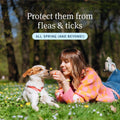 PetArmor Plus Flea and Tick Prevention for Dogs, Small Dog Flea and Tick Treatment, 3 Doses, Waterproof Topical, Fast Acting (5-22 lbs)