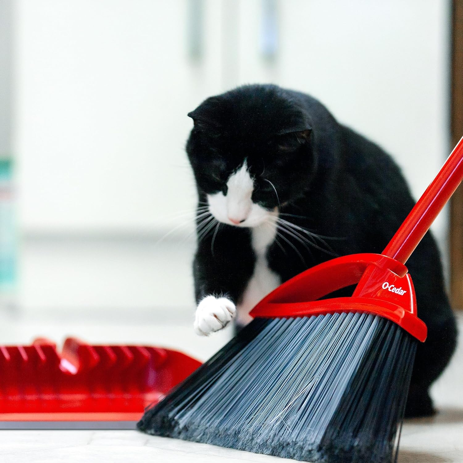 O-Cedar Pet Pro Broom with Step-On Dustpan | Remove 99% with One Sweep | Removes 3 Times More Pet Hair | Quiet Cleaning Tool for Cat and Dog Owners