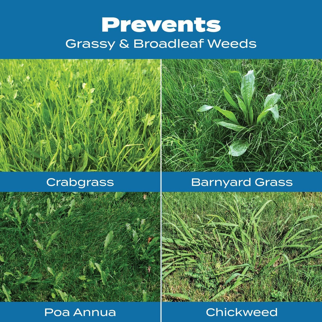 Scotts Turf Builder Halts Crabgrass Preventer with Lawn Food, 5,000 sq. ft.