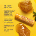 Burt's Bees 100% Natural Moisturizing Lip Balm (Original Beeswax)