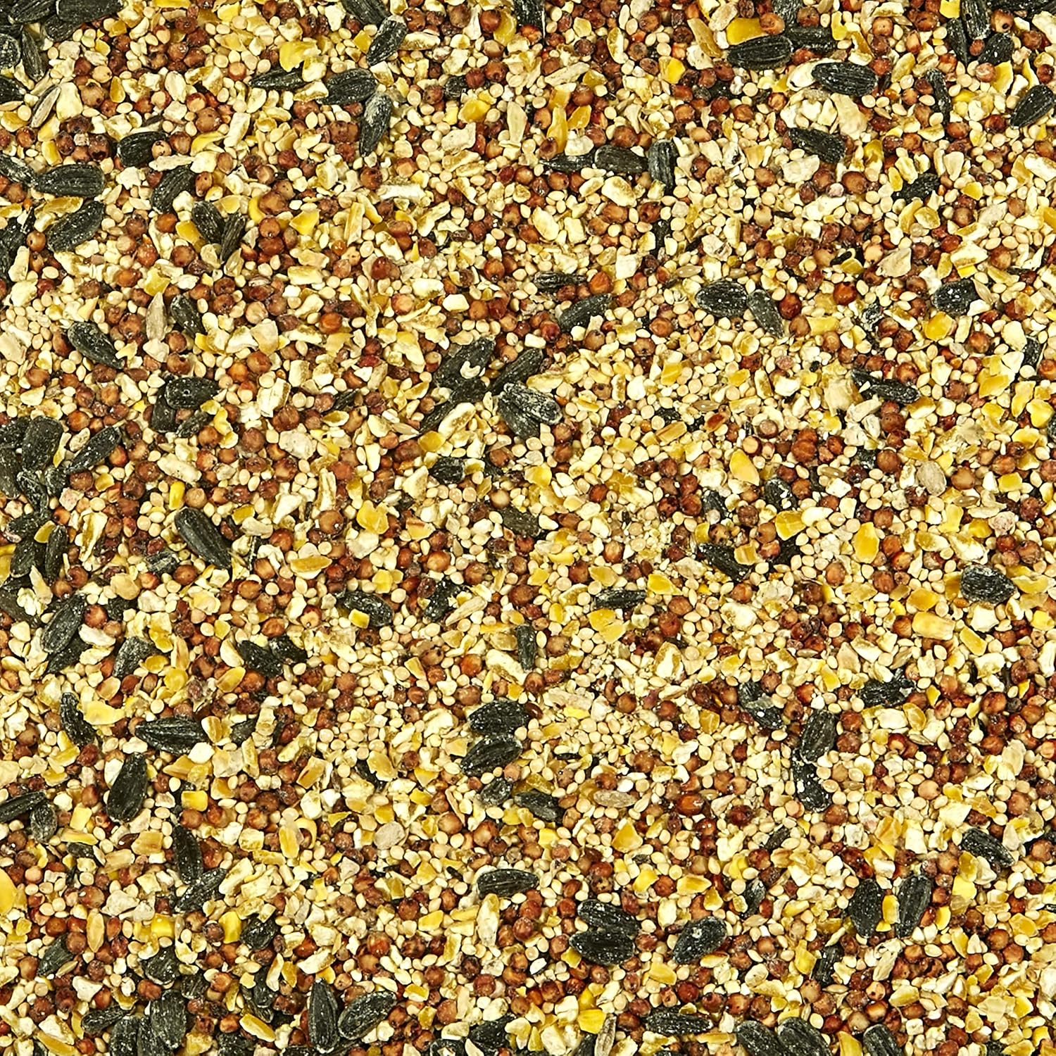 Kaytee All American Wild Bird Food Seed Blend for Cardinals, Blue Jays, Finches & Other Outdoor Wild Birds, 5 Pounds